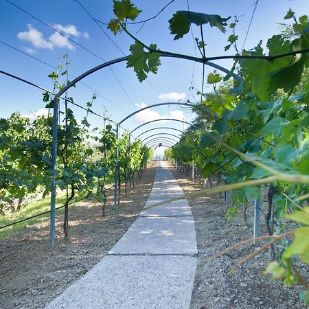 Agriturismo Il Vecchio Mandorlo بيرودجا المظهر الخارجي الصورة