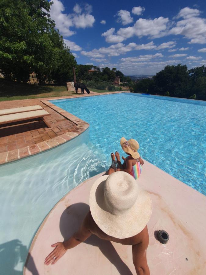 Agriturismo Il Vecchio Mandorlo بيرودجا المظهر الخارجي الصورة