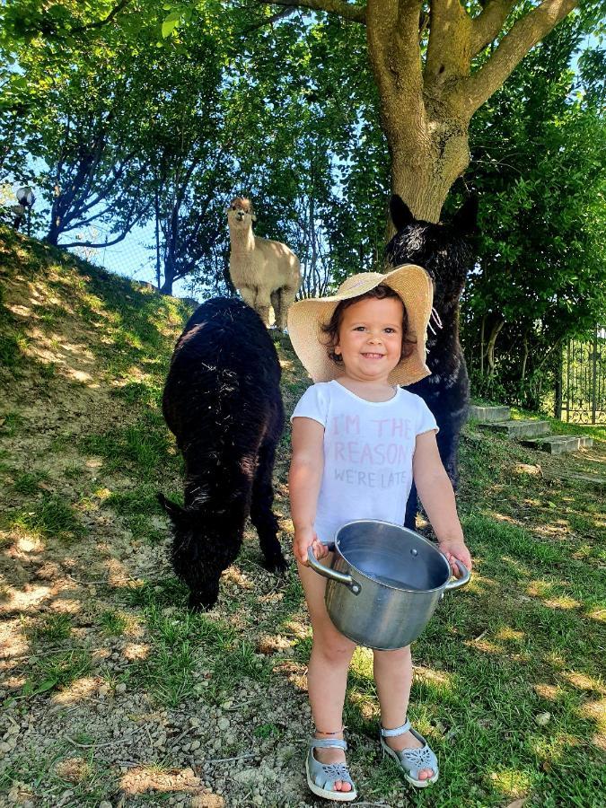 فيلا بيرودجافي Agriturismo Il Vecchio Mandorlo المظهر الخارجي الصورة