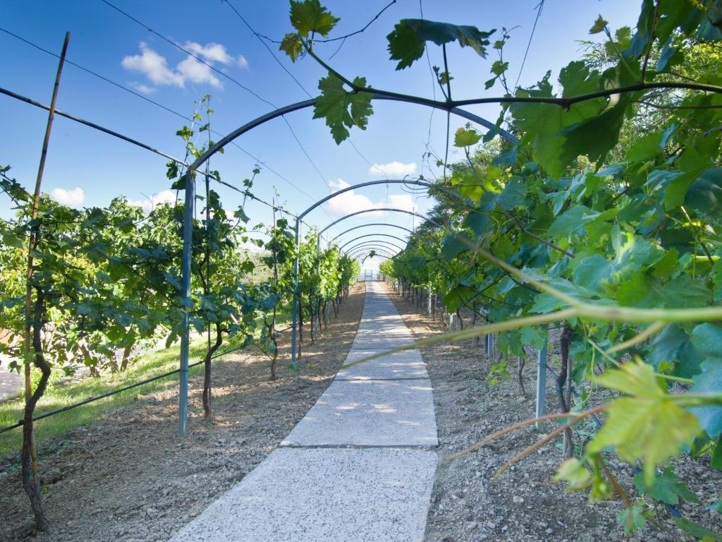 فيلا بيرودجافي Agriturismo Il Vecchio Mandorlo المظهر الخارجي الصورة